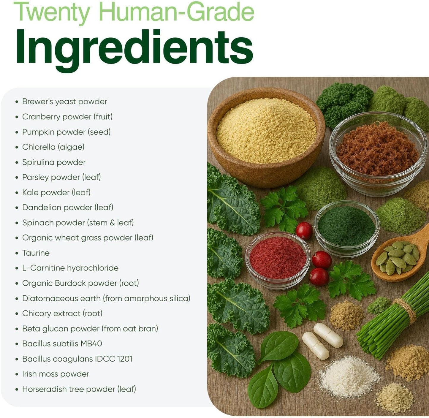 Iron Paws Human-Grade Superfood For Dogs, Premium Greens Powder Supplement For Dental Health, Longevity, Hip & Joint, Gut Health, Allergies, Immune