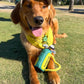 PUPROAR Golf Dog Toy – Funny Dog Christmas & Birthday Gift with Squeaker Rope & Crinkle, Fun & Interactive Puppy Present & Stocking Stuffer