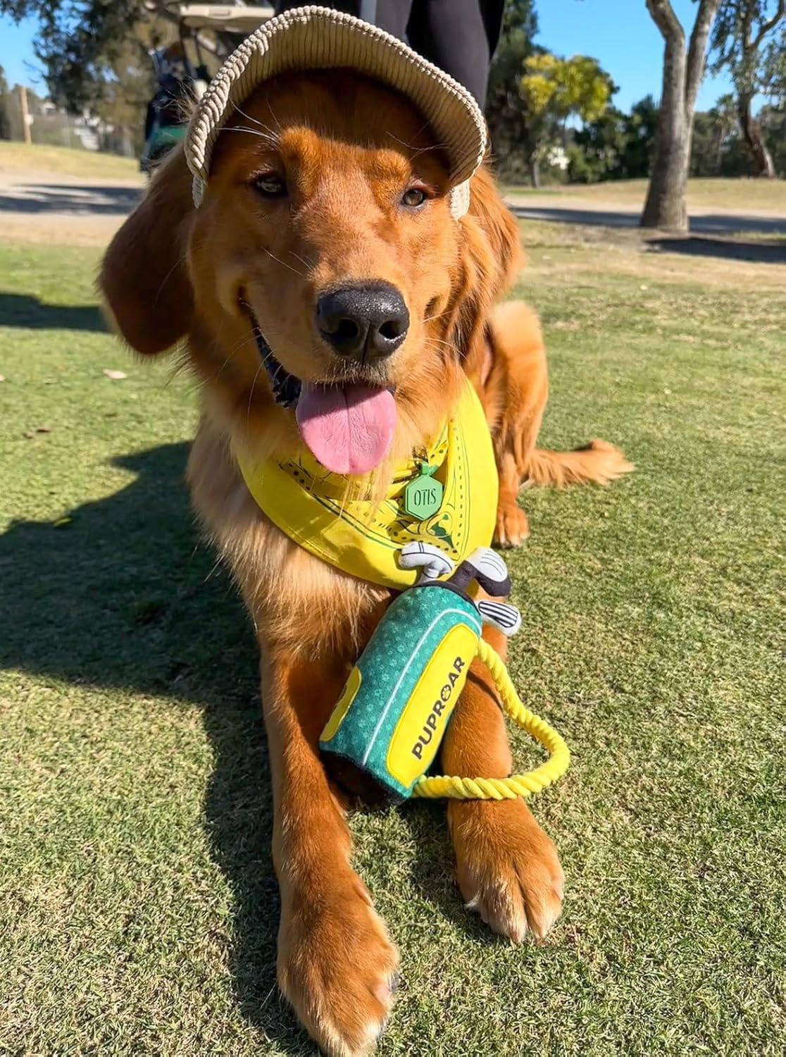 PUPROAR Golf Dog Toy – Funny Dog Christmas & Birthday Gift with Squeaker Rope & Crinkle, Fun & Interactive Puppy Present & Stocking Stuffer