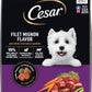 Cesar Small Breed Dry Dog Food for Small Dogs, Filet Mignon Flavor and Spring Vegetables Garnish, 12 lb Bag