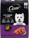 Cesar Small Breed Dry Dog Food for Small Dogs, Filet Mignon Flavor and Spring Vegetables Garnish, 12 lb Bag
