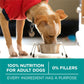 Purina One Plus Digestive Health Formula Dry Dog Food Natural with Added Vitamins, Minerals and Nutrients - 31.1 Lb. Bag