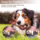 PETSTA Indestructible Dog Toys for Aggressive Chewers, Extreme Tough Toys for Large Dogs, Real Beef Flavored, Dog Bone for Medium/Large Dogs Breed, Gifts for Dogs