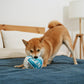 Nestpark Zen Pupper Deckies Parody Dog Toy - Plush Squeaky and Crinkle Funny Dog Toy - Drool Mint