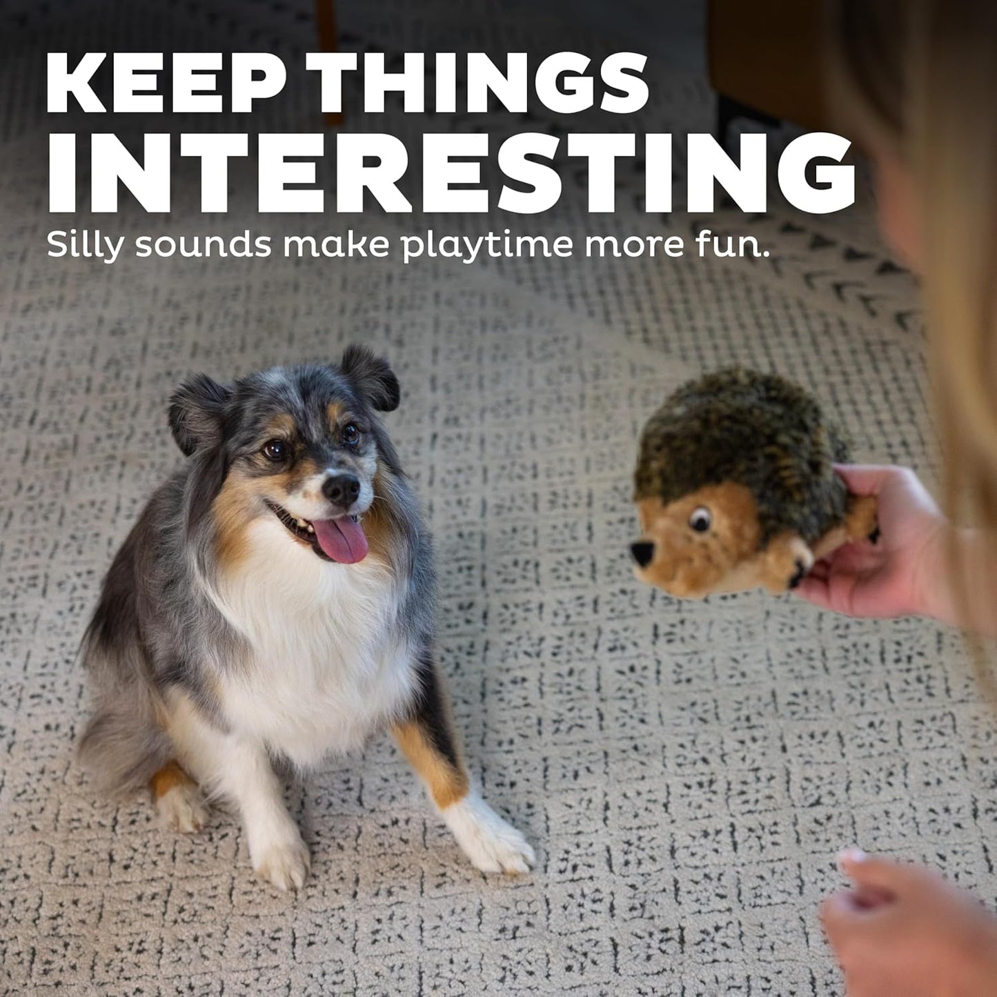 Outward Hound Hedgehogz Stuffed Dog Toy – Soft Plush Hedgehog, Grunts & Squeaks, Medium, 9" x 5" x 6.5"