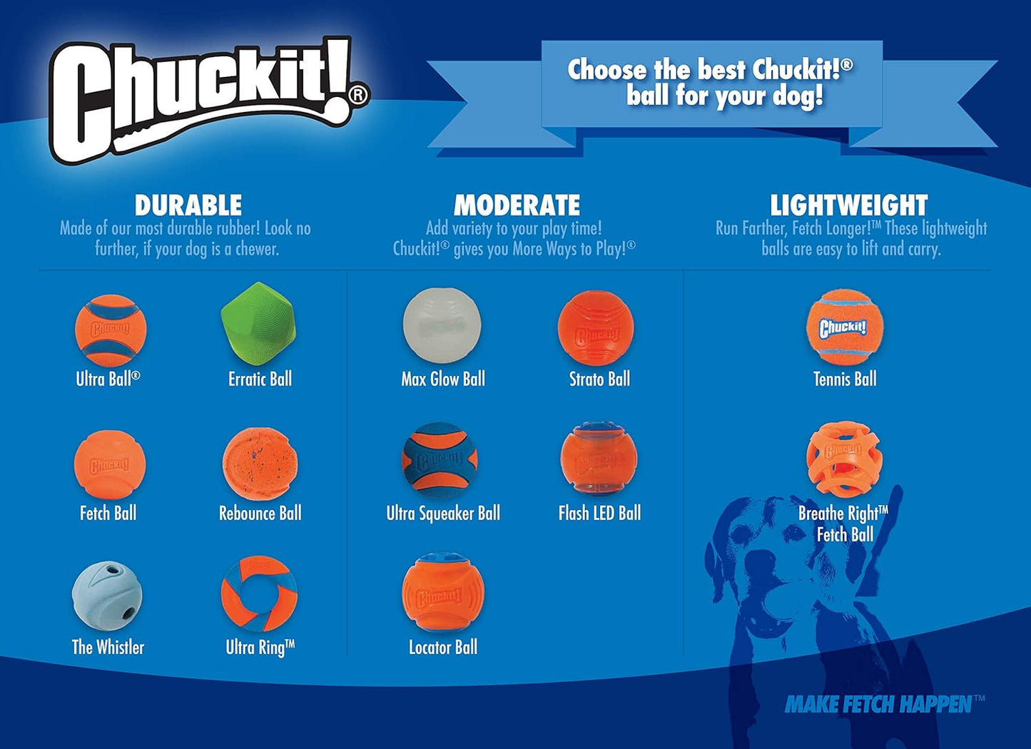 Chuckit! Rebounce Ball Dog Toy - Bouncy Fetch Balls for Dogs 20-60 lbs - Made from Durable Rubber - Outdoor Pet Toys - Size Medium - 2.5-inch Diameter - Pack of 2 - Blue