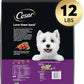 Cesar Small Breed Dry Dog Food for Small Dogs, Filet Mignon Flavor and Spring Vegetables Garnish, 12 lb Bag