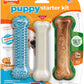 Nylabone New Puppy Starter Kit, Chew Toys & Natural Chew Treat for Puppies, Puppy Enrichment Teething Toys, Blue, Long Lasting Chicken & Bacon Flavor, Small Dogs - Up to 25 Ibs, 3 Pack