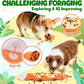 XIUGOAL Interactive Dog Toys for Chewers, 2 Pack No Stuffing Dog Toys for Boredom and Teething, Squeaky Chew Toy for Small, Medium Breed to Keep Them Busy