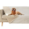 fuguitex Waterproof Dog Blanket Bed Cover Dog Crystal Velvet Moroccan Fuzzy Cozy Plush Pet Blanket Throw Blanket for Couch Sofa(40 * 60 inch