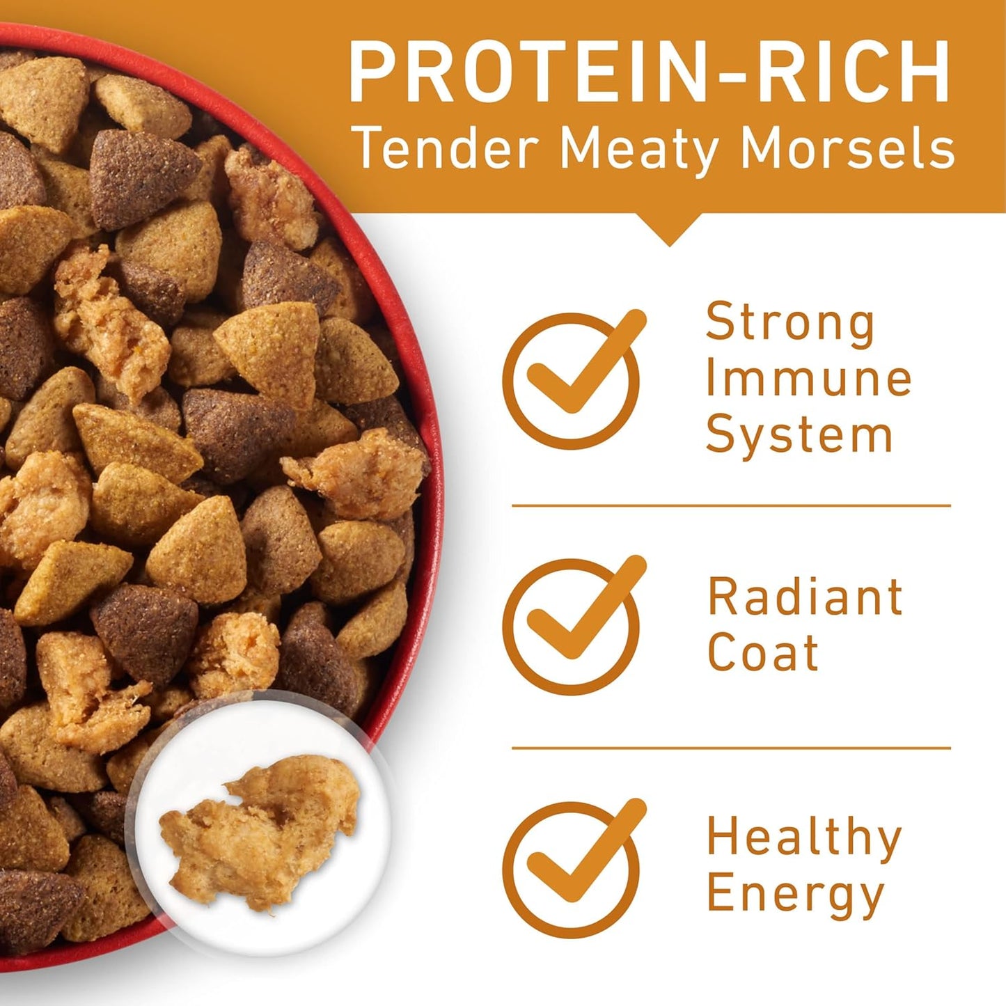 Purina ONE Chicken and Rice Formula Dry Dog Food - 16.5 lb. Bag