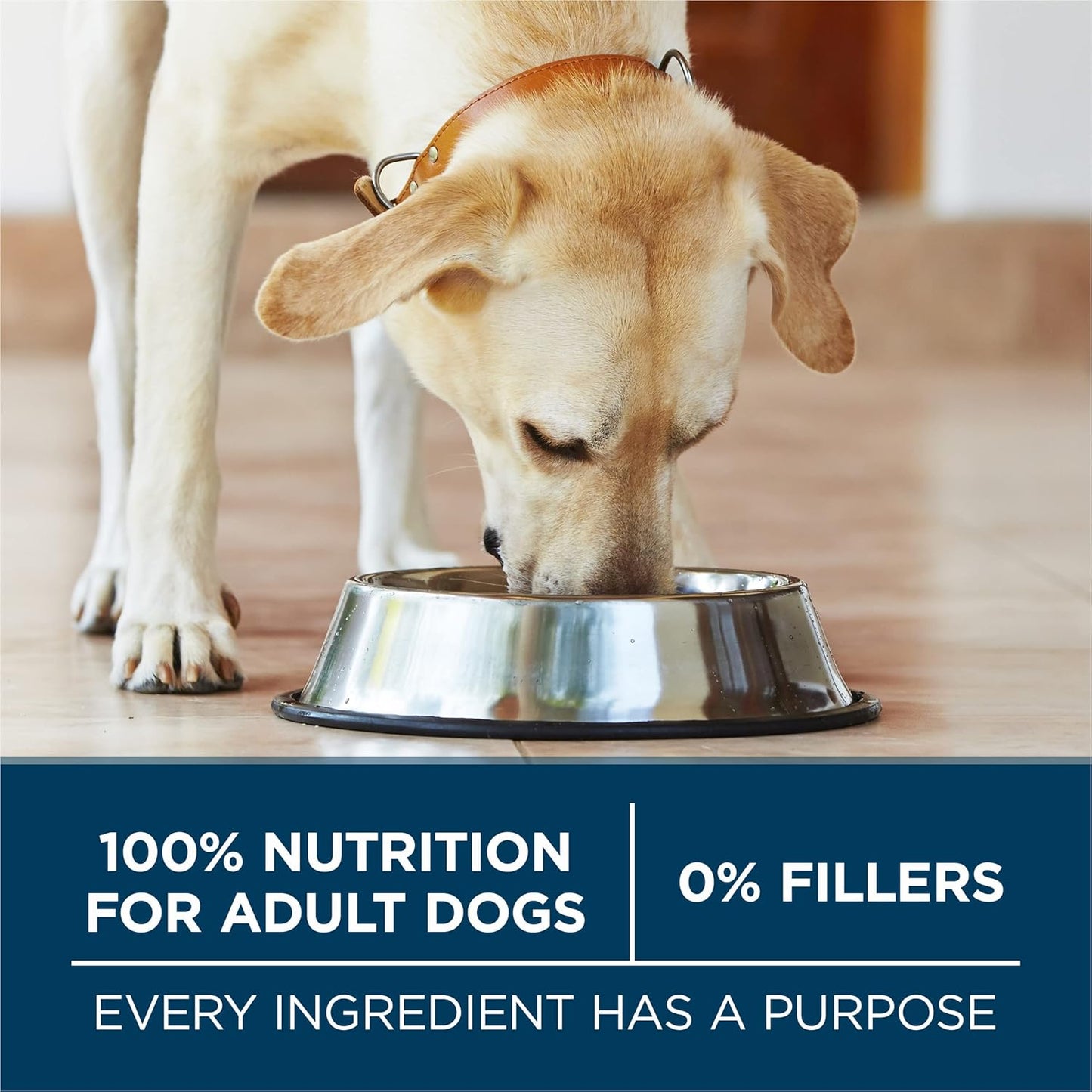 Purina ONE Plus Large Breed Adult Dog Food Dry Formula, Real Protein Rich Natural Chicken Flavor - 40 lb. Bag
