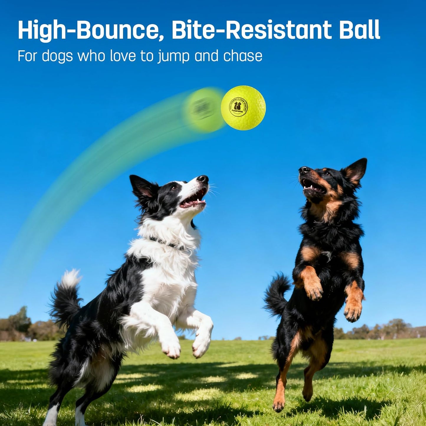 Potaroma Dog Toy Balls – 3 Pack E-TPU Bouncy Pet Fetch Balls Floating Water Pool Toy for Chewers Small & Large Dogs, Indoor & Outdoor 2.8 Inch Diameter