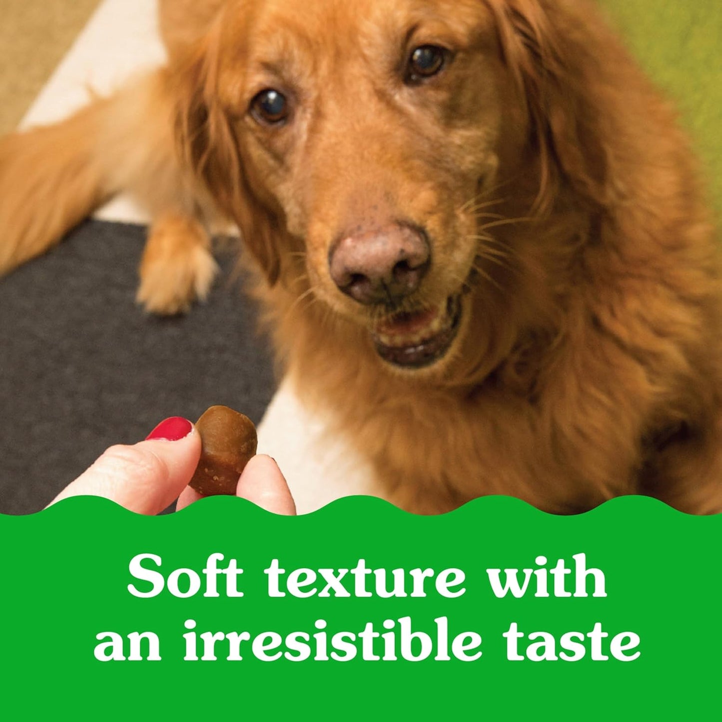 Greenies Pill Pockets for Dogs, Large Size Soft Dog Treats, Peanut Butter Flavor, 15.8 oz. Pouch