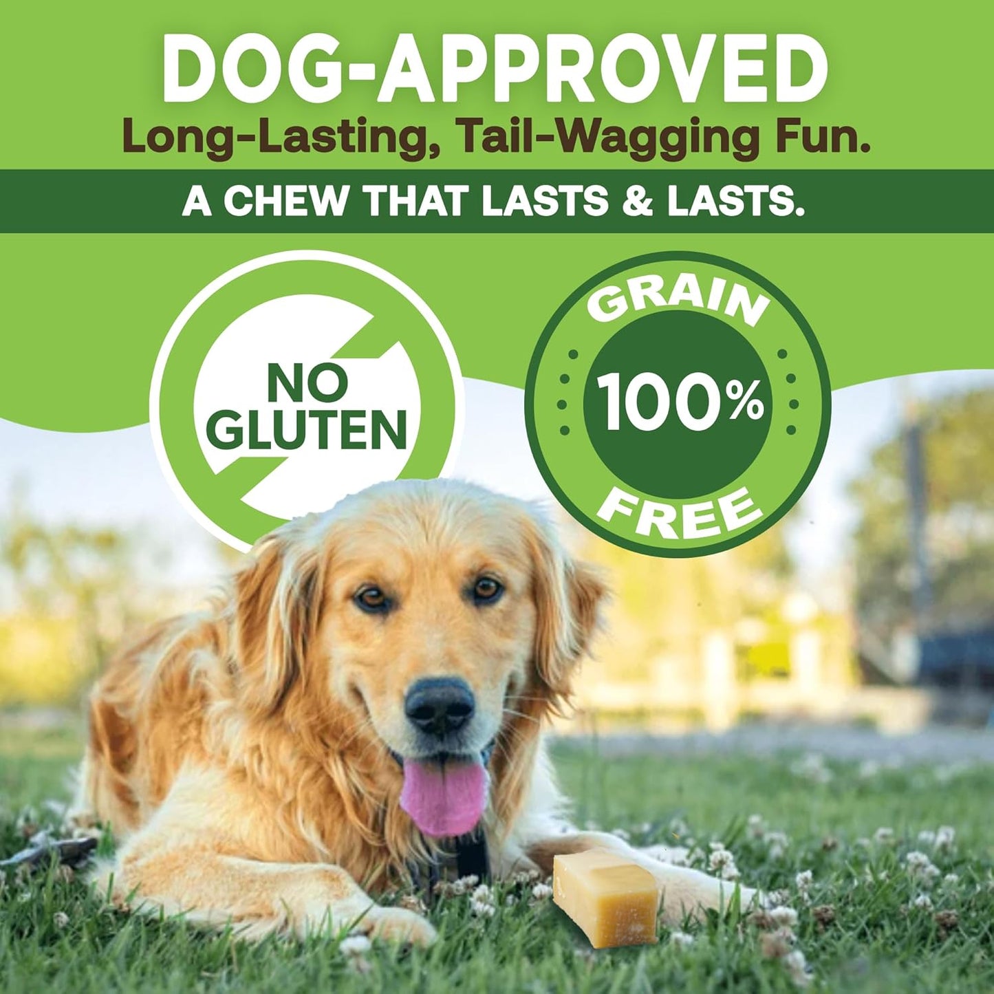 EcoKind Premium Gold Yak Cheese Himalayan Dog Chews, Dog Treats Large Breed, All Natural, High Protein, for Aggressive Chewers, Large - 4 Chews (1 lb)
