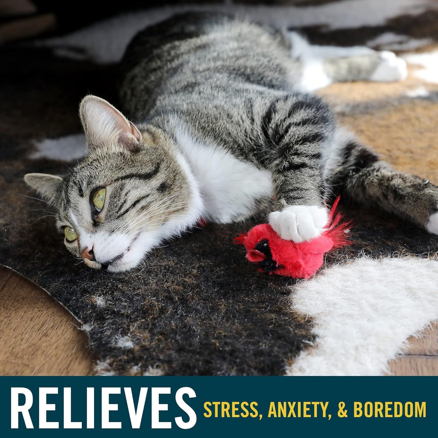 OurPets Play-N-Squeak Real Birds Interactive Cat Toys with Catnip (Cat Toys for Indoor Cats; Catnip Toy for Cats with Bird Chirping Electronic Sound and Feather)