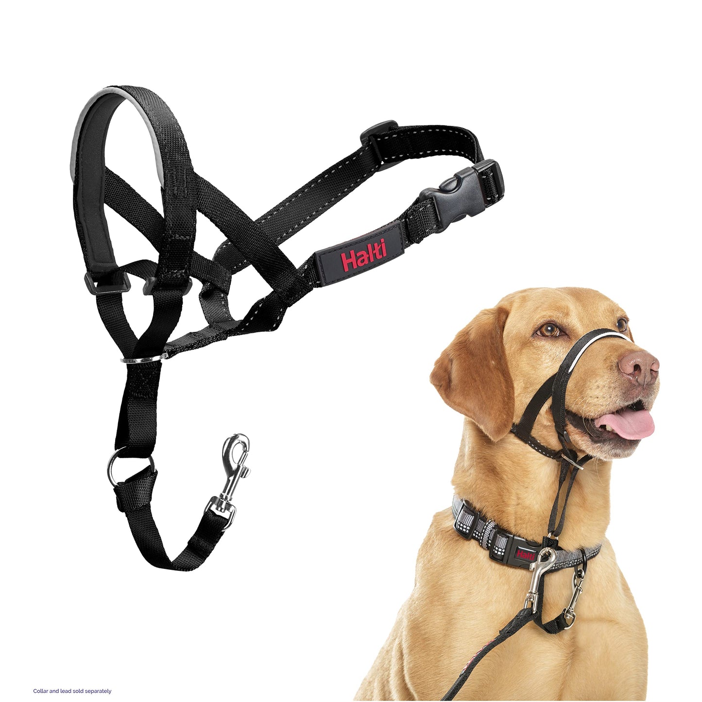 Halti Headcollar - Stop Your Dog Pulling on the Leash. Adjustable, Reflective and Lightweight, with Padded Nose Band. Dog Training Anti-Pull Collar