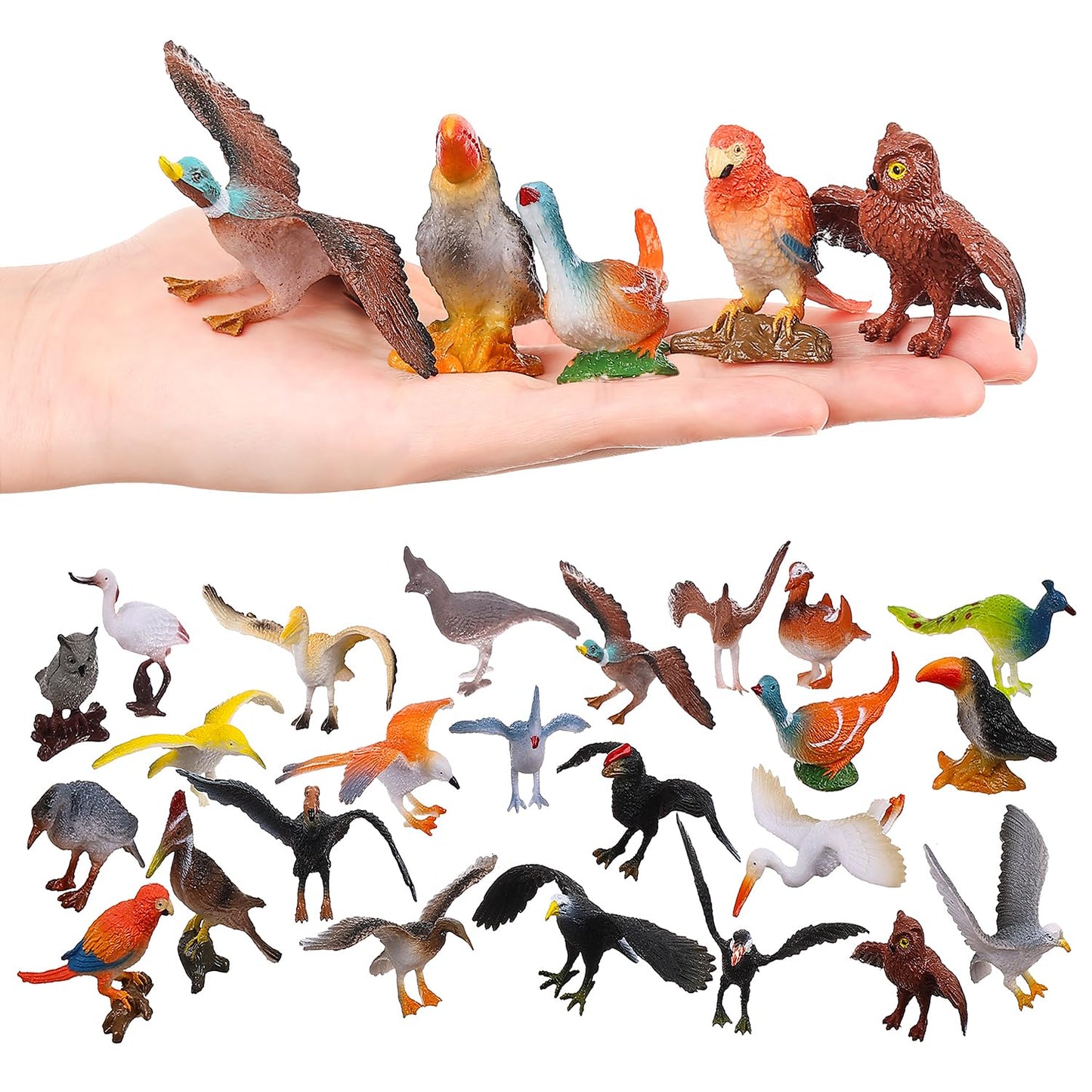 Realistic Bird Figurines, 24pcs Eagle, Parrot, Robin, Owl Toys - Fairy Garden Accessories, Educational Learning Dollhouse Birthday Cake Topper Gift for Kids