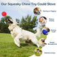 CHEODIN 2 Pack Indestructible Squeaky Dog Balls for Aggressive Chewers, Interactive Dog Toys for Teething, Relieving Anxiety. Chew Toy for Large, Medium Breeds, Outdoor Rubber Balls.