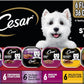 Cesar Wet Dog Food Steak Lovers Variety Pack, Adult, Wet Food for Dogs with Real Meat, 3.5 oz Easy Peel Trays, 36 Count