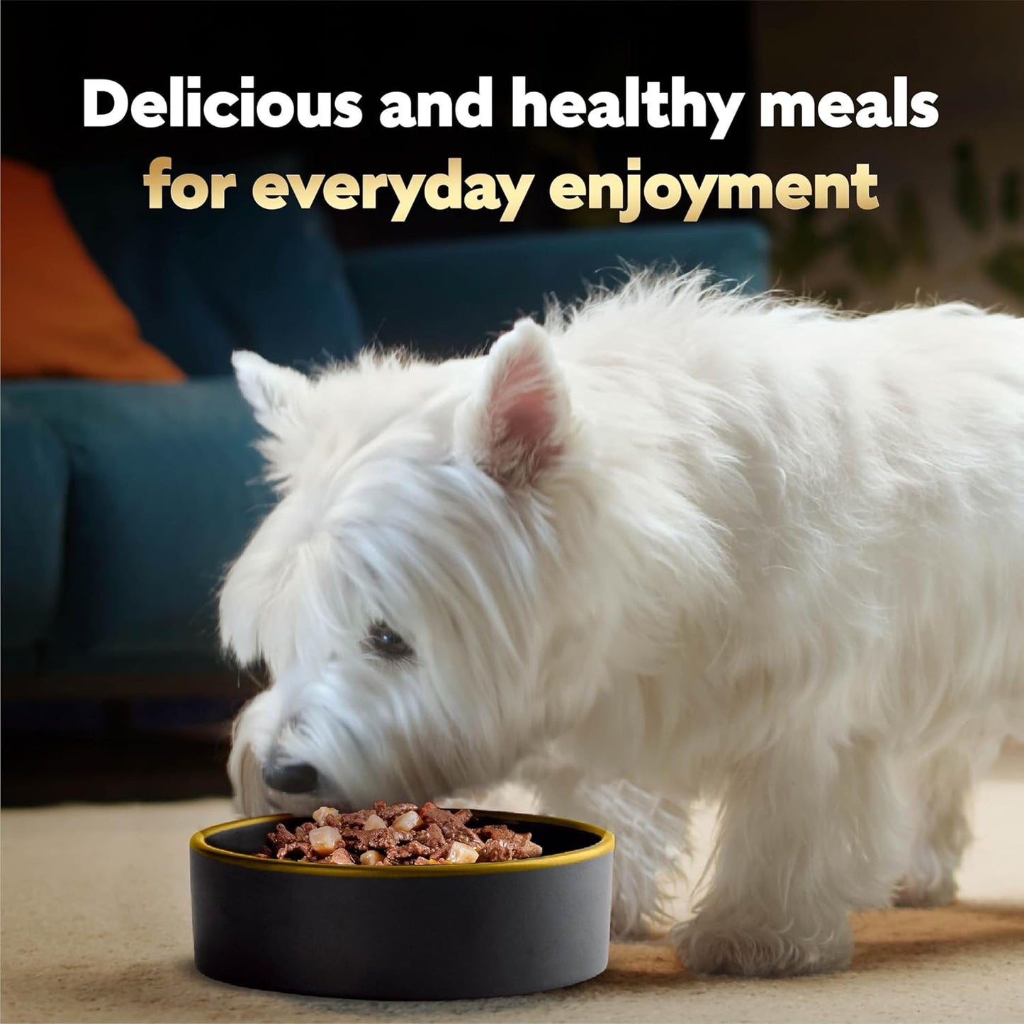 Cesar Home Delights & Classic Loaf in Sauce Adult Wet Dog Food, Breakfast & Dinner Variety Pack, Wet Food for Dogs, 3.5 oz Tray, 24 Count