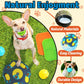 Forfon 9 Pack All-Around Dog Puzzle Toy Set -Mentally Stimulating Dog Enrichment Toys for Small to Medium Smart Dogs, Includes Dog Lick Mat with Suction Cups