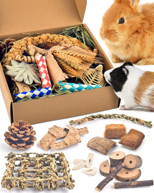 Bissap Rabbit Chew Toy, Natural Bunny Treats Snacks with Timothy Hay Water Grass Mat Coconut Husk Box for Guinea Pigs Chinchillas Hamsters Gerbils and Other Small Pets Teeth Grinding