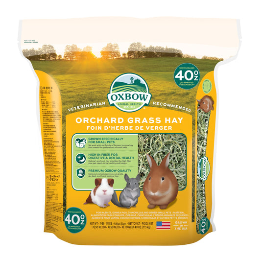 Oxbow Orchard Grass Hay for Small Pets – All-Natural Long Strand Fiber Hay for Rabbits, Guinea Pigs, Chinchillas, and Hamsters – Supports Digestive Health and Enrichment – 40 oz Bag