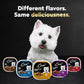Cesar Wet Dog Food Classic Loaf in Sauce Grilled Chicken, Filet Mignon, Porterhouse Steak, Beef, Chicken & Liver and Turkey Variety Pack 3.5 oz. Easy Peel Trays (36 Count, Pack of 1)