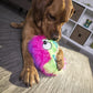 goDog Furballz Squeaky Plush Ball Dog Toy, Chew Guard Technology - Rainbow, Large