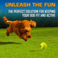 Nerf Dog Tennis Ball Blaster Dog Toy Gift Set, Tennis Ball Dog Fetch Toy Launches up to 50 ft, Dog Ball Thrower for All Breeds Includes Translucent Blue Tennis Ball Launcher and 3 Dog Tennis Balls