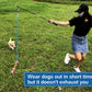 Interactive Flirt Pole Toy for Dogs Chase and Tug of War,Durable Teaser Wand with Pet Fleece Rope Tether Lure Toy to Outdoor Exercise & Training for Small Medium Large Dogs (Blue/Red, POLE-35 inches)
