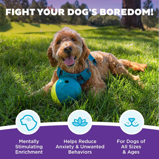 Outward Hound by Nina Ottosson Treat Tumble – Interactive Food-Dispensing Dog Puzzle Ball, Level 1 Beginner, Small, 4.8"
