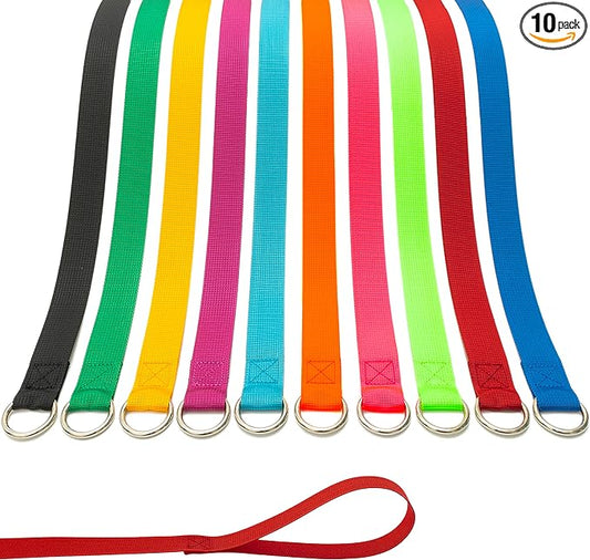 Slip Lead Dog Leash - 10 pcs Colorful 6 FT Short Dog Leashes with O-Ring for Small Large Dogs Puppy Cats Walking Training Running Rescues Grooming