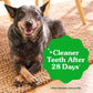 Greenies Veterinarian-Recommended Natural Dental Dog Treats Teenie Size, Daily Treating, Helps Clean Teeth and Freshen Breath, Original Flavor, 36 oz. Pack, 130 Count