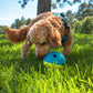 Outward Hound by Nina Ottosson Treat Tumble – Interactive Food-Dispensing Dog Puzzle Ball, Level 1 Beginner, Small, 4.8"
