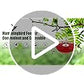 FEED GARDEN Hummingbird Feeders for Outdoors, 2 Pack 16oz Leak-Proof Dish-Style Nectar Feeder Built-in Ant Moat, 5 Feeding Ports, Wide Mouth Easy Clean, BPA-Free Garden Décor Gifts