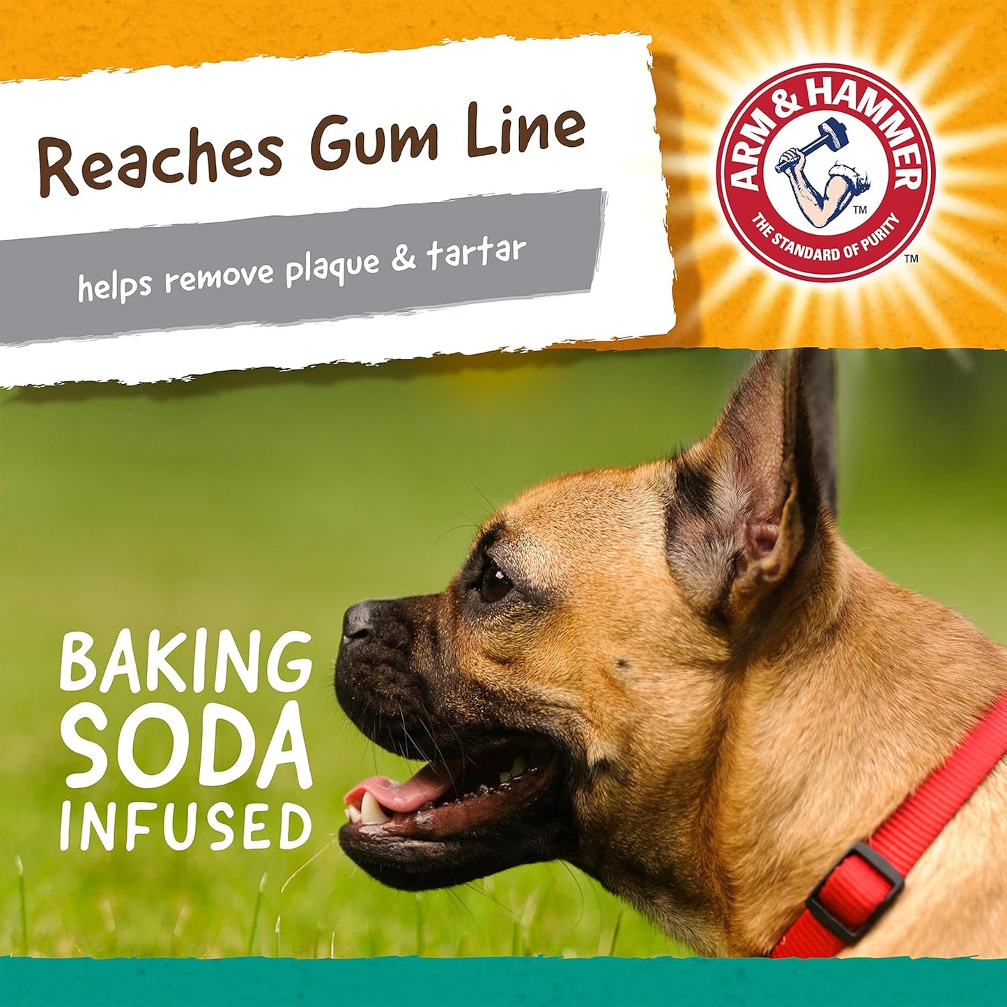 Arm & Hammer Nubbies T-Bone Dental Dog Chew Toys, Peanut Butter Flavor - Durable Nylon Chewing Toys for Dogs, Done Bone Toy, Teeth Cleaning Bones for Chewers Help Remove Plaque and Tartar