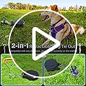 Dog Tie Out Cable and Stake 360° No Tangle Heavy Spiral Yard Stake and Retractable Dog Leash for Dogs Up to 10-90 lbs, 30ft Dog Chain for Outside