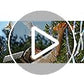 Bird Scare Reflective Tape, 262 Feet per Roll, Double-Sided Reflective, for Repelling Sparrows and Woodpeckers, Suitable for Outdoor Use in Homes, Gardens, Farms, Orchards,Outdoor